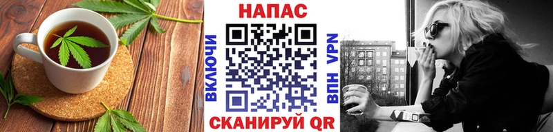 продажа наркотиков  Шатура  Cannafood марихуана 