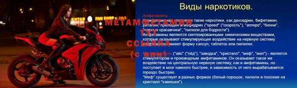 молекула духа Бородино