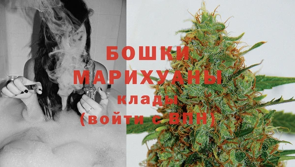 молекула духа Бородино