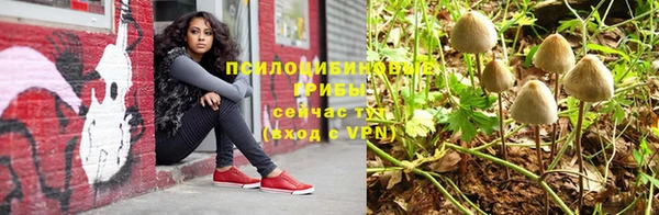 молекула духа Бородино