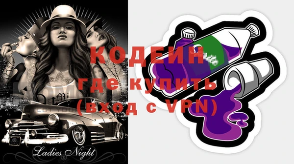 молекула духа Бородино