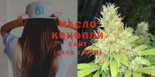 молекула духа Бородино